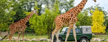 Safario parkas „Parco Natura Viva“: viešbučiai netoliese