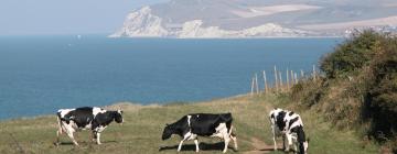 Cap Gris-Nez: hotel