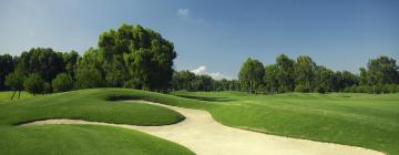Hotels a prop de Club de golf Olgiata