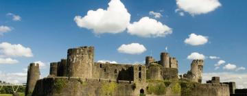 Caerphilly Castle: Hotels in der Nähe