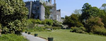 Hotels near Birr Castle