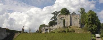 Hotels near Château de Langeais