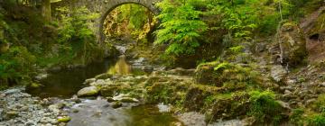 Tollymore Forest Park: hotel