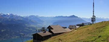 Niederhorn: Hotels in der Nähe