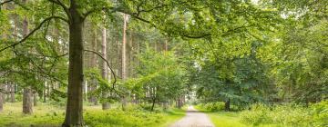 Sherwood Forest: Hotels in der Nähe