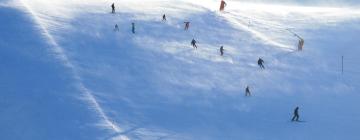特利西爾滑雪度假村（Trysil Alpine Resort）附近的飯店