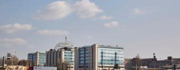 Hotels near San Raffaele Hospital