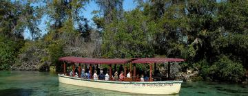 Hotelek a Weeki Wachee Springs vízi élménypark közelében