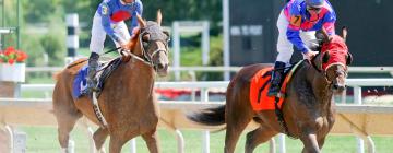 Hoteles cerca de Hipódromo Gulfstream Park