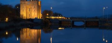 Castello e Folk Park di Bunratty: hotel