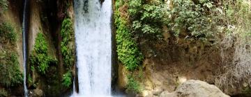 Hotels in de buurt van Banias-watervallen