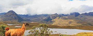 Hotels near Cajas National Park