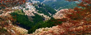 Hotels near Mount Yoshino