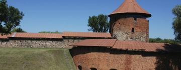 Burg Kaunas: Hotels in der Nähe