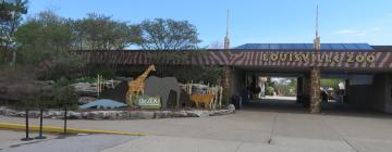 Louisville Zoo – hotely v okolí