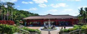 Okinawa World: Hotels in der Nähe