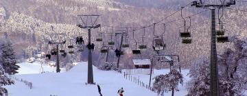 Skiliftkarussel Winterberg: Hotels in der Nähe