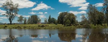 Hotels near Myall Lakes