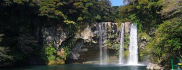 Hoteli v bližini znamenitosti slapovi Cheonjiyeon