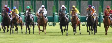 Hoteles cerca de Hipódromo de Flemington