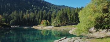 Hôtels près de : Lac Cauma