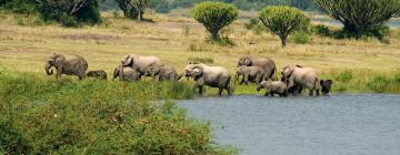 Hoteles cerca de Parque Nacional Queen Elizabeth