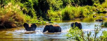 Hotels near Olifants West Game Reserve