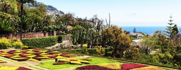 Hotels near Madeira Botanical Garden