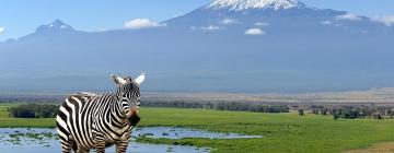 Hotels near Kilimanjaro National Park