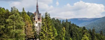 Hotels near Peles Castle