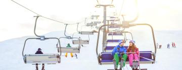 Hotels near Corralco Ski Centre