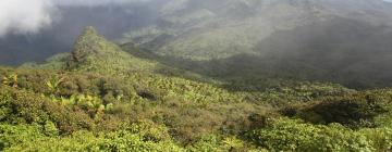 Hoteller i nærheden af El Yunque