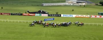 Leopardstown Hipodromu yakınındaki oteller