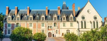 Hotels near Blois Castle