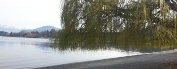 Hoteles cerca de Lago Wanaka