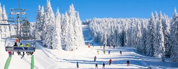 Hotelek Mašinac ski lift közelében