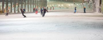 Hoteles cerca de SnowWorld