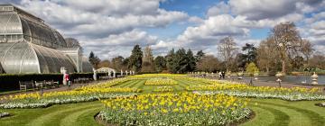 Hotels near Kew Gardens