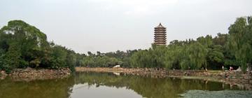 Pekin Üniversitesi yakınındaki oteller