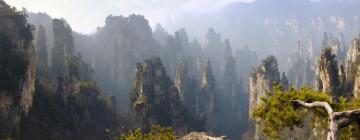 Zhangjiajie National Forest Park: отели поблизости