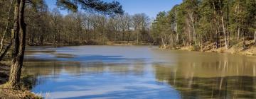 Hotels a prop de Bosc de Rambouillet