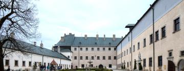 Hotels near Cerveny kamen Castle