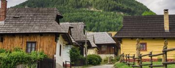 블콜리네츠 마을 주변 호텔