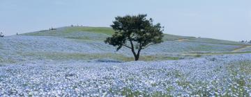 Hitachi Seaside Park: hotel