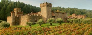 Viesnīcas netālu no apskates objekta vīna darītava Castello di Amorosa