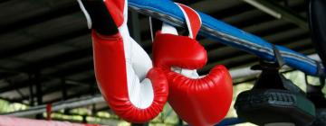 Tiger Muay Thai and MMA Training Camp: Hotels in der Nähe