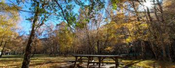 Naturpark Serra da Estrela: Hotels in der Nähe