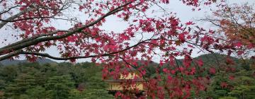Kinkaku-ji-Tempel: Hotels in der Nähe