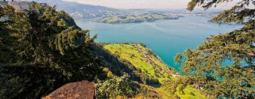 Hotels a prop de Bürgenstock