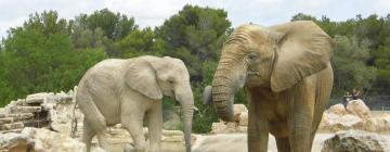 Зоопарк «Африканский заповедник» в Сижане: отели поблизости